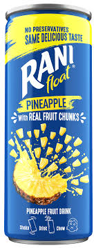 Rani Pineapple Float Juice B2-087